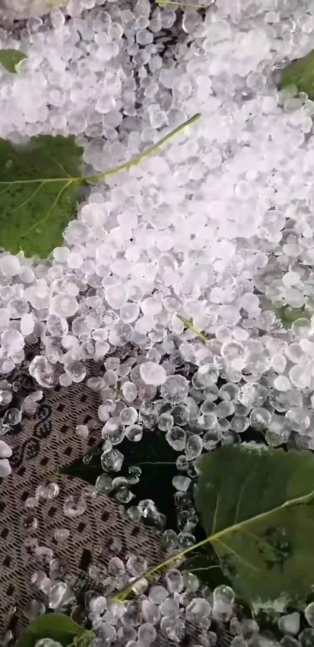 河南部分地区出现雨加冰雹  街上交警变“浇警”