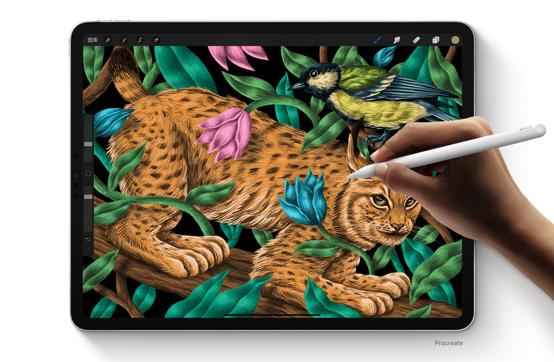 新iPadPro屏幕由10000个发光源组成