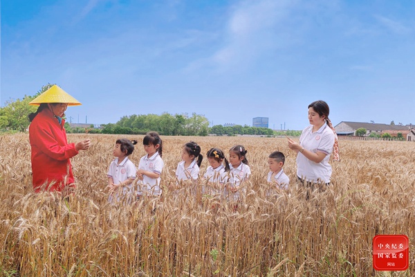 湖北省枝江市仙女镇中心幼儿园将课堂搬到麦田上,引导孩子们了解小满