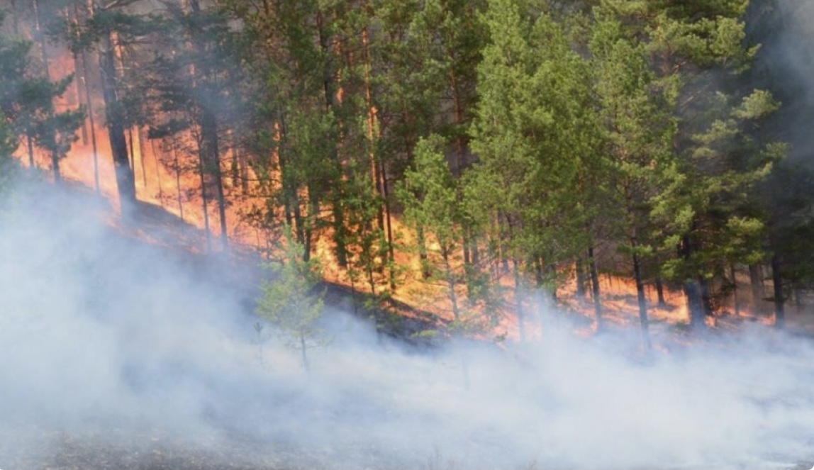 蒙古国色楞格省发生森林和草原火灾
