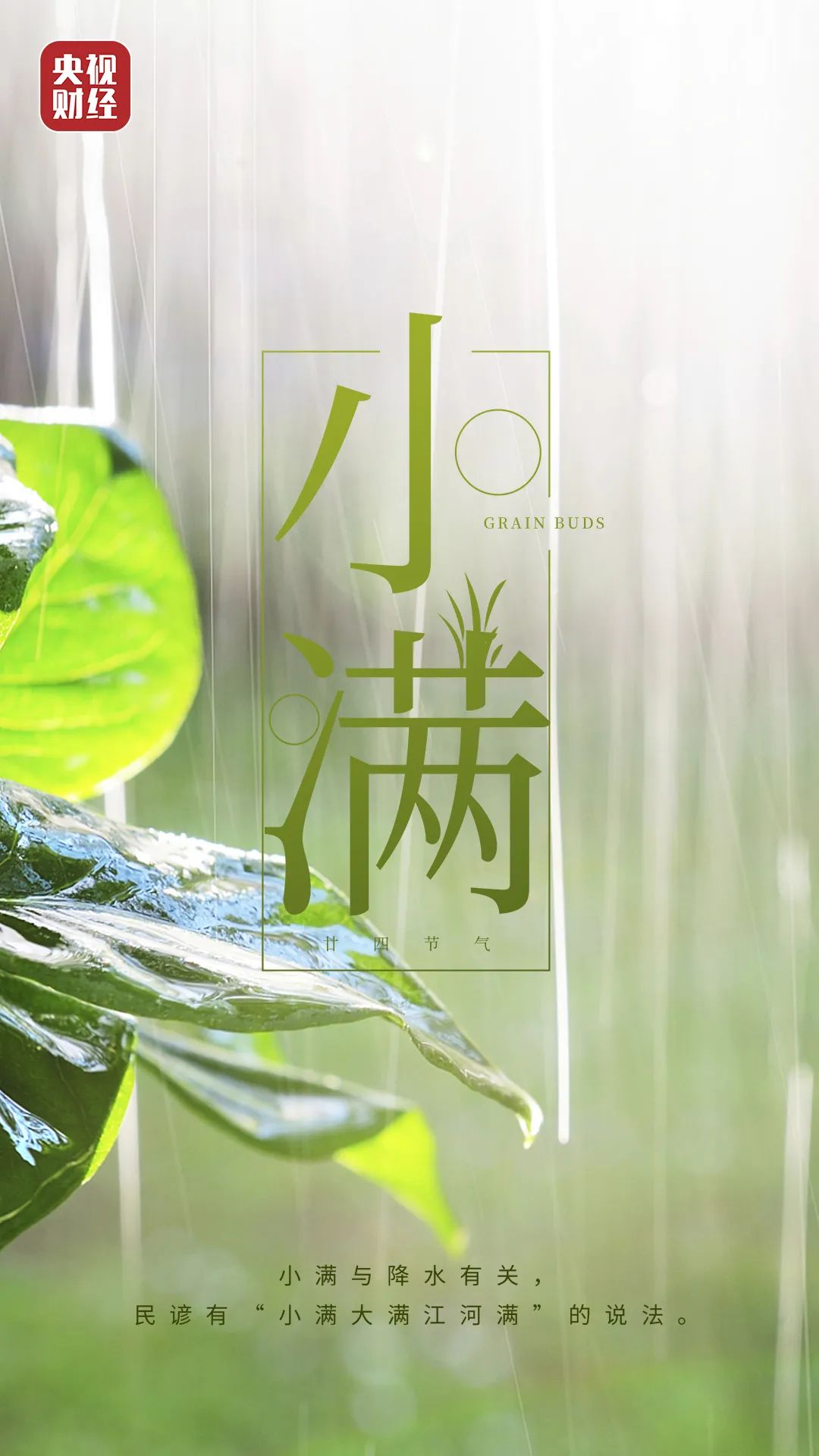 小满丨最好人生是小满