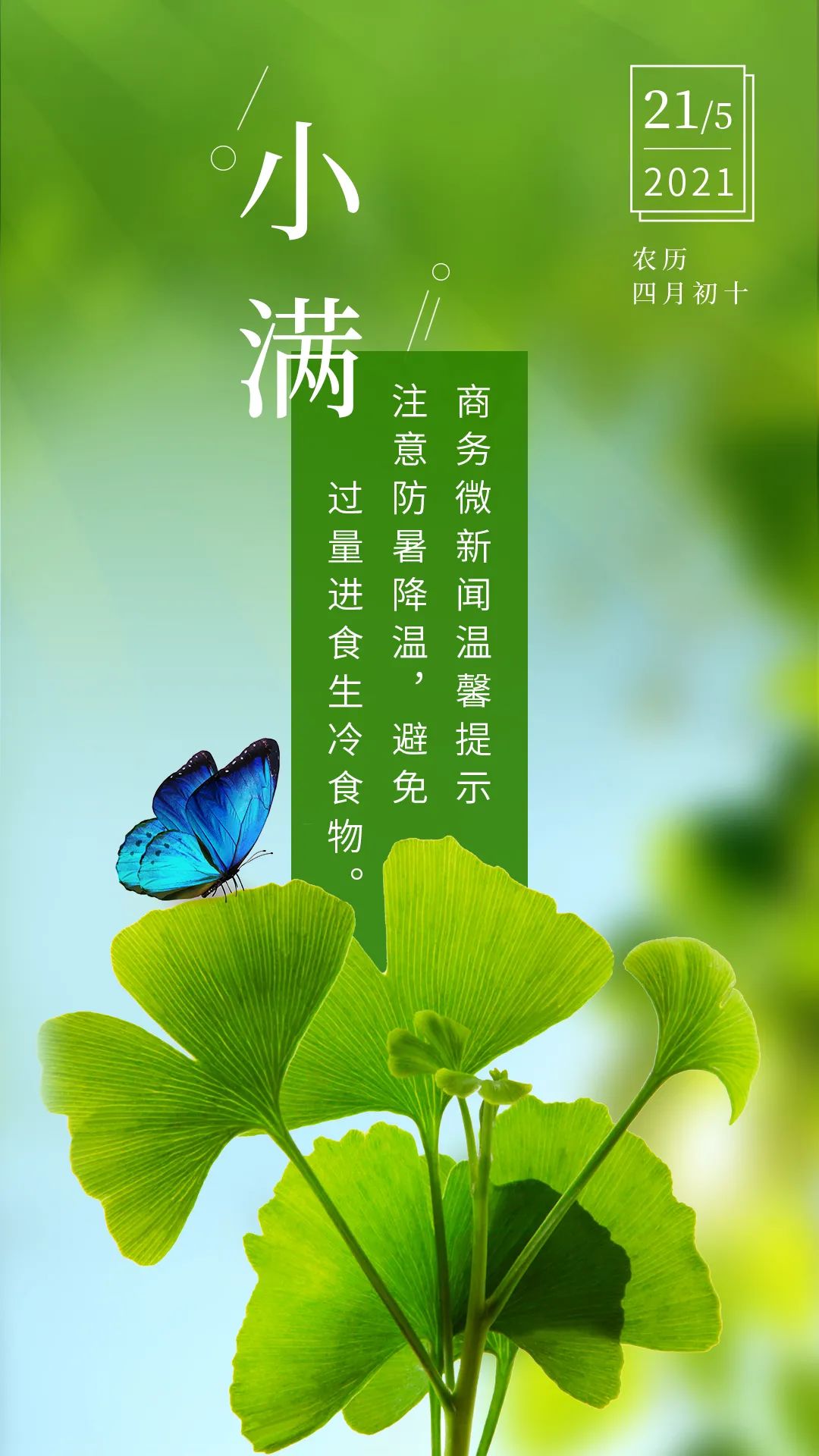 二十四节气今日小满万物至此小得盈满