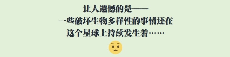 监制丨陆毅