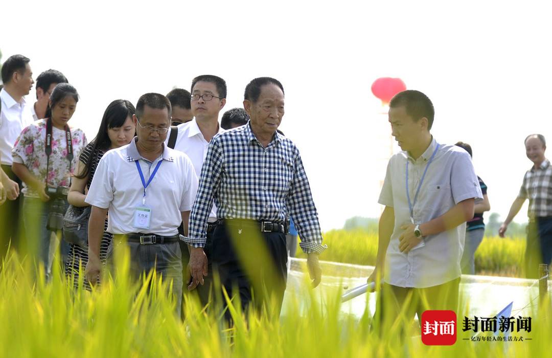 追忆袁隆平在成都的多个瞬间亲手在蓉打造宝贝田爱秀四川话