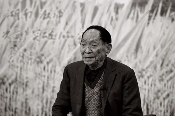 中央纪委国家监委发文悼念袁隆平逝世稻菽千重禾下留梦