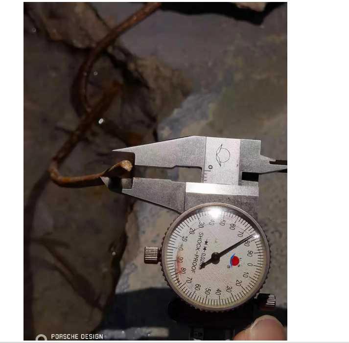 *游标卡尺测量的钢筋直径为3.78毫米,图由业主提供