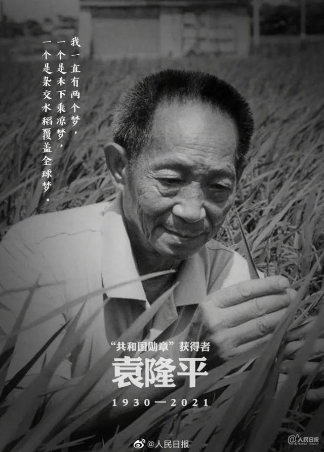 沉痛悼念袁隆平逝世享年91岁
