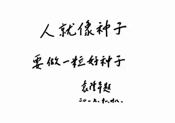 双星陨落,光芒永存心间|袁隆平_新浪财经_新浪网