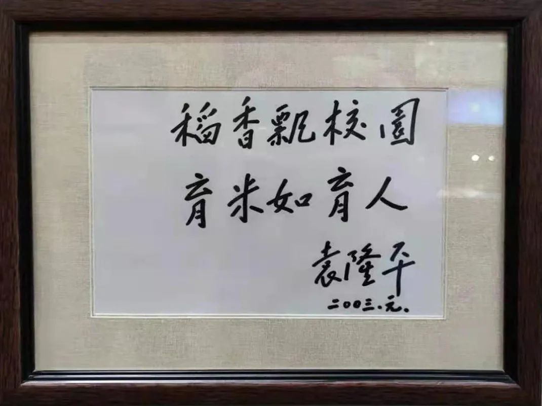 缅怀沈阳建筑大学师生在袁隆平题词纪念石前敬献鲜花