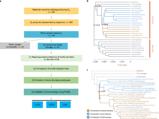 研究配图 - 1：O2 酶出现的年代
