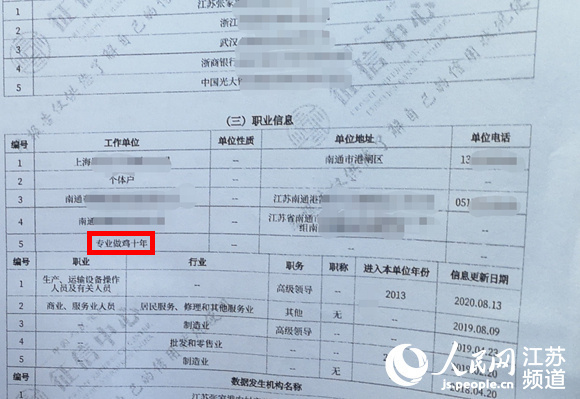 房女士征信报告职业信息里赫然写着&ldquo;专业做鸡十年&rdquo;字样。当事人供图