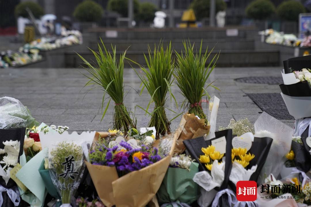 全国各地群众献花袁隆平告别仪式外卖员一天送50余束 手机新浪网