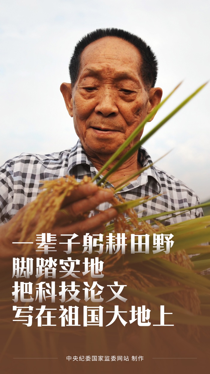海报丨这就是对袁隆平最好的纪念