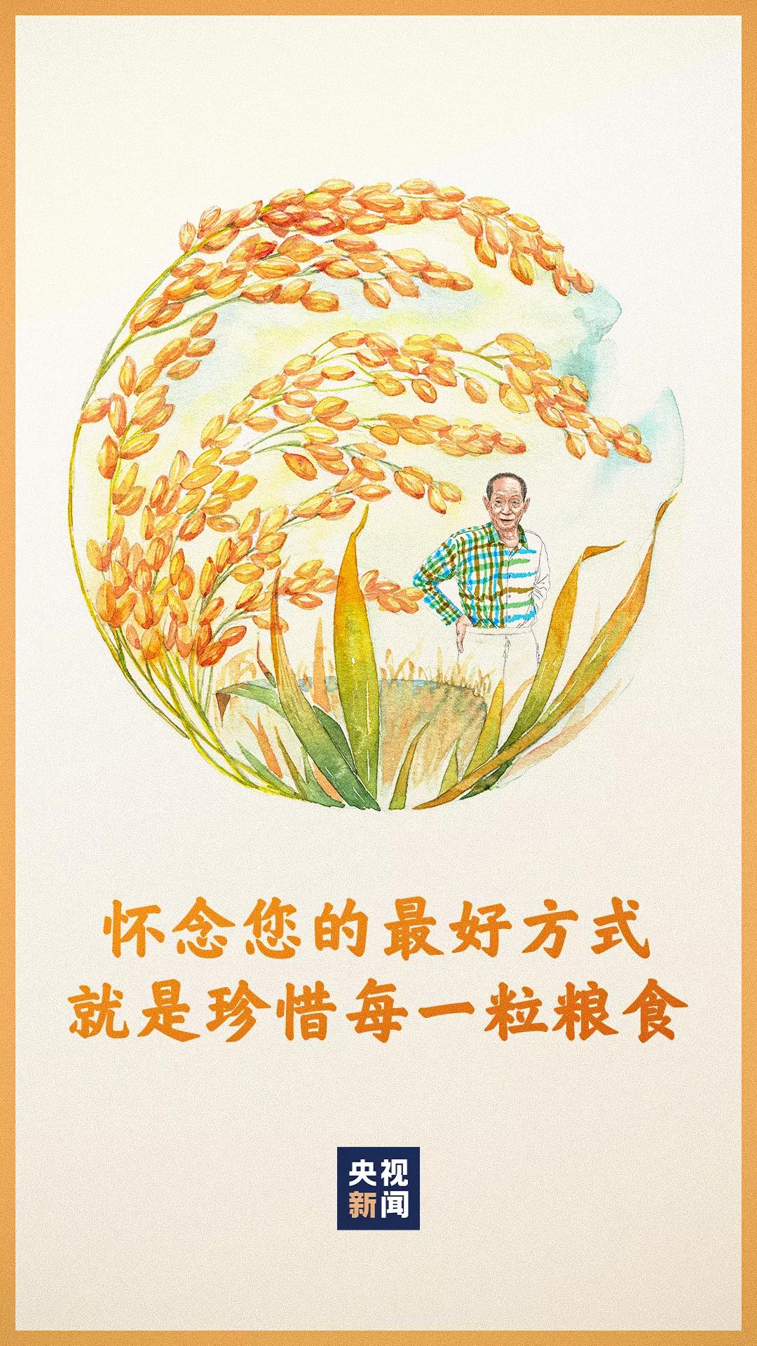 今天送别袁隆平院士