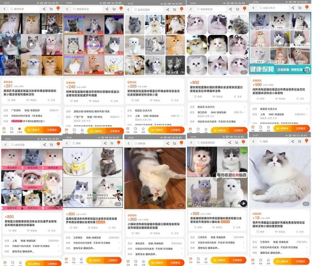 旗帜鲜明地反对淘宝卖活体动物 养殖场 新浪财经 新浪网 旗帜鲜明地反对淘宝卖活体动物 养殖场 新浪财经 新浪网