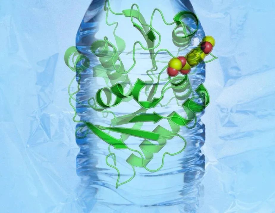 pet塑料降解酶示意图