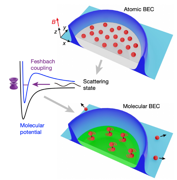 通过改变磁场，分子势能曲线（蓝线）会相对原子势能曲线（黑线）上下移动，当两者接近时，就会发生Feshbach共振，会让原子变成分子（图片来源：Zhang et al., 2021）