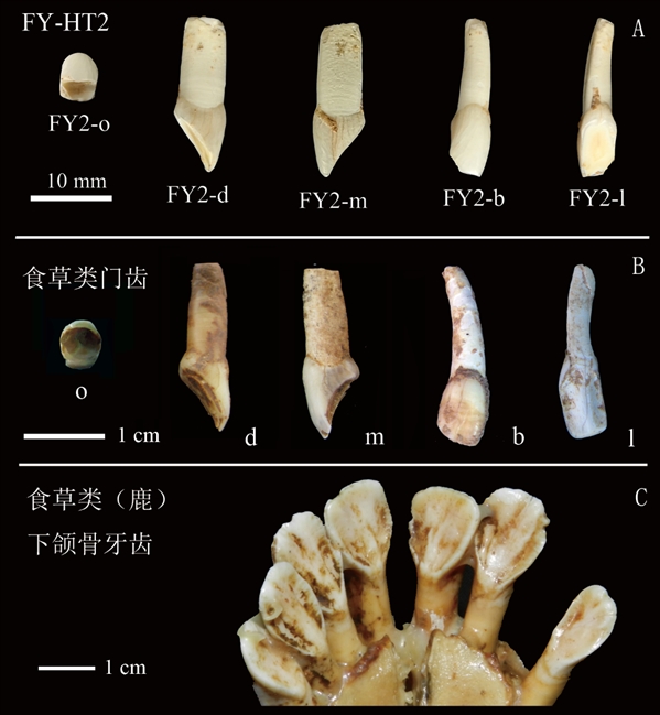 一项6年前发表的研究遭多次反转，终极解决办法“只有重复实验”？