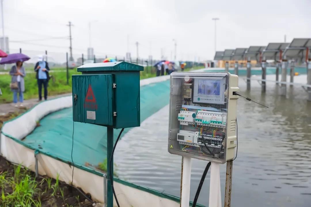 广东最新发文“力撑”AI！教育领域要这样做→