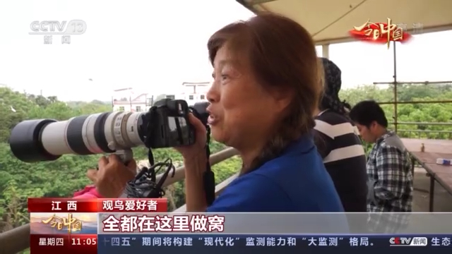 今日中国·江西丨鄱阳湖：候鸟最爱的家