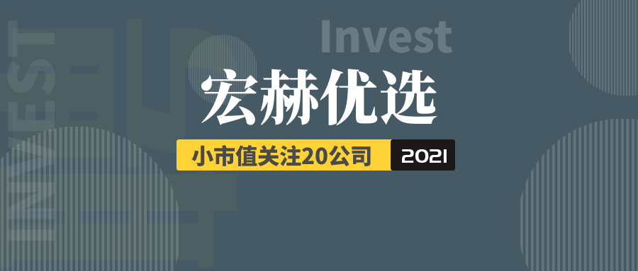 宏赫优选公司-小市值关注20 | 2021（动态更新）