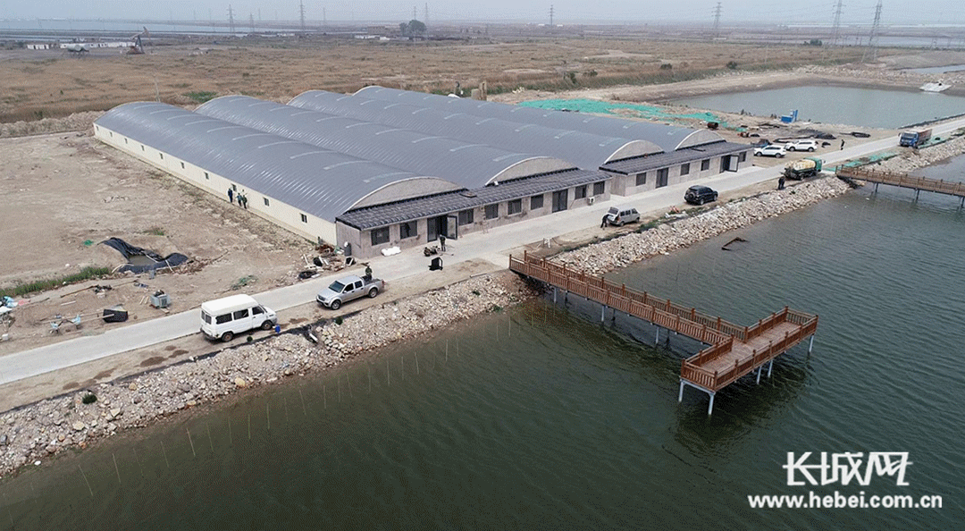 海都渔业集团即将投入使用的高标准智能繁育车间。长城网记者 邢丁 摄