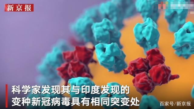 巴西又发现新冠病毒新变种毒株 与印度发现的变种病毒有相同突变处 巴西 新浪财经 新浪网