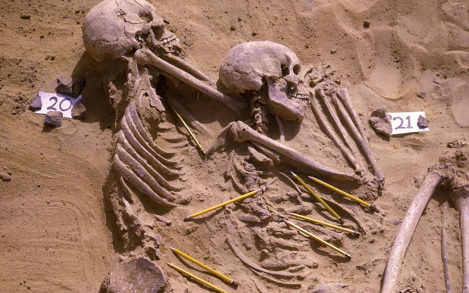 苏丹境内出土的人类遗骸(大英博物馆资料图)