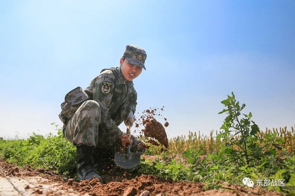 雷达战位上的五朵金花飒