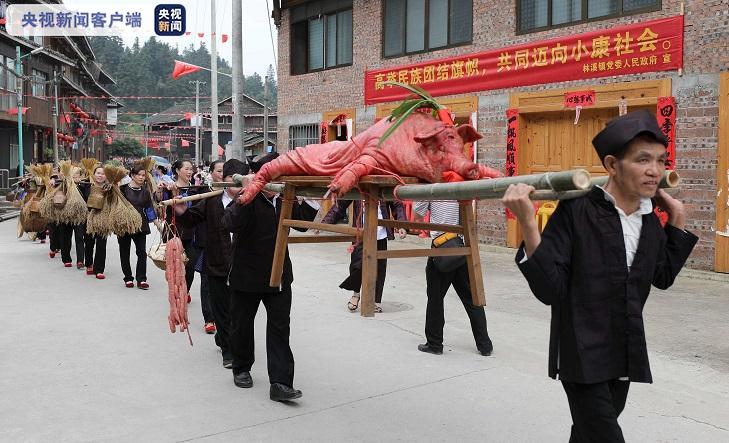 △村民抬着红猪参加民俗游行