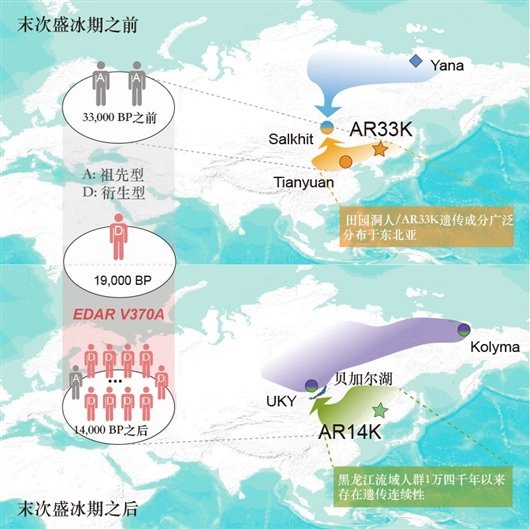 我科学家开展东亚时间跨度最长的古基因组研究