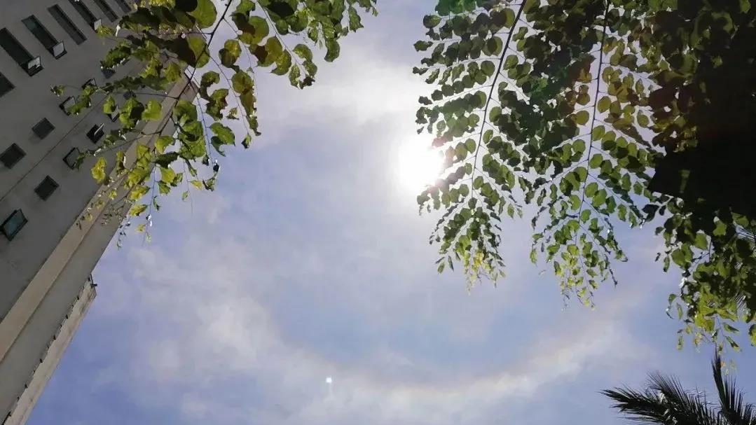 绚丽夺目！海南三亚上空出现“日晕”景观