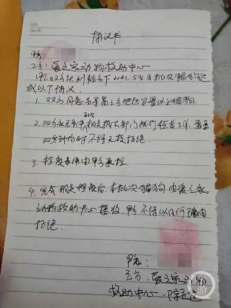 揪心99元买萌宠密闭货车满载活体宠物盲盒