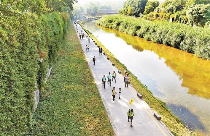 市民行走城市里的"慢道". cfp供图