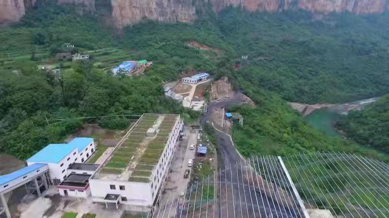 矿绿董光林摄于贵州省耳海煤矿牡丹花开在矿区辛颂摄于淮北矿业集团信