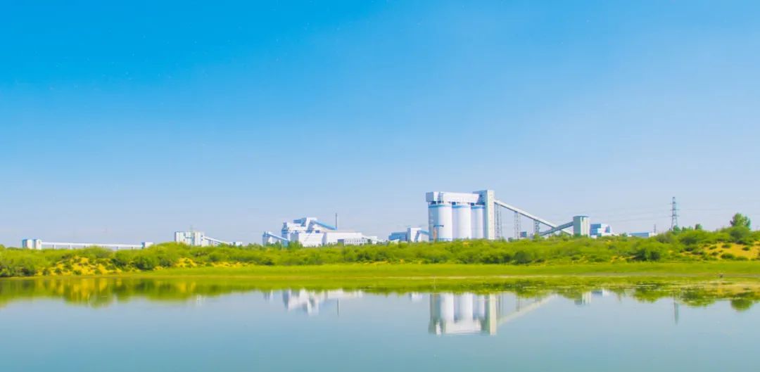 海煤矿牡丹花开在矿区辛颂摄于淮北矿业集团信湖煤矿矿区"底色"环保绿