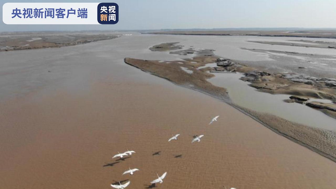 最高1亿元！河南与山东签订黄河流域省际生态保护补偿协议