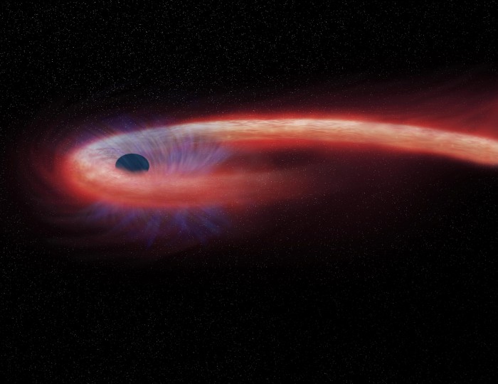 天文学家首次探测到被黑洞消化的恒星传达出的最后讯息