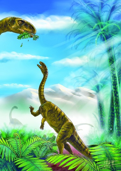     新发现的蜥脚型类恐龙幼体复原图 资料图片
