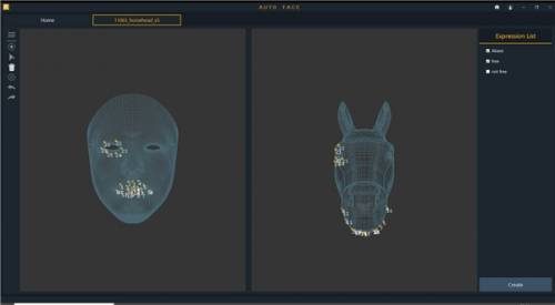AutoFace操作界面