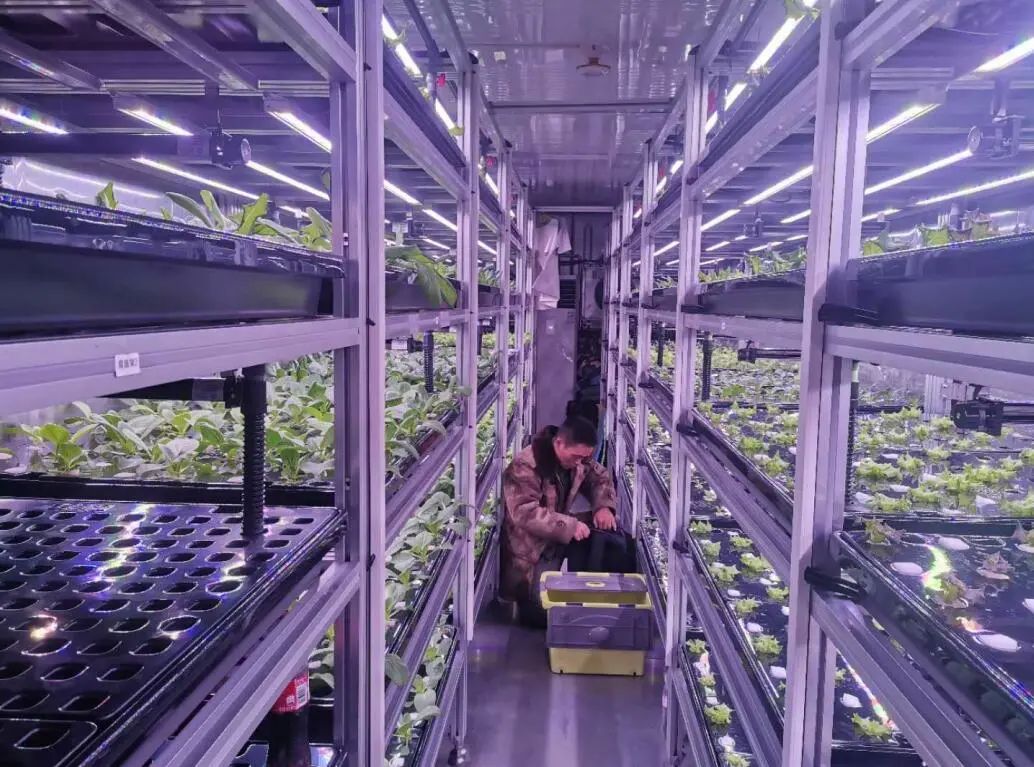 中科三安京东等国内20家植物工厂大盘点