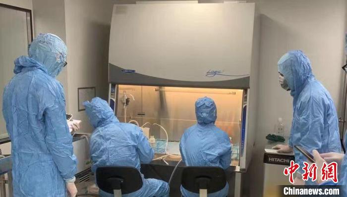 器官移植中心郭猛博士带领胰岛分离团队通过一系列技术，历时6个小时获得了患者自身约5毫升的正常胰岛细胞 长征医院供图