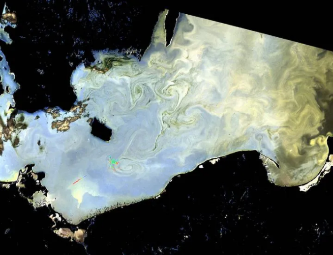 欧洲航天局卫星拍摄的波罗的海藻华。图片来源：European Space Agency