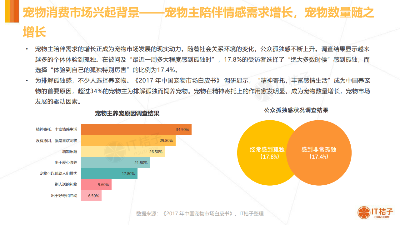 it桔子:2020年中国宠物消费市场分析报告
