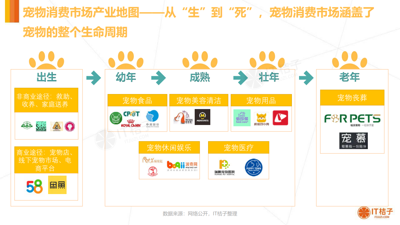 it桔子2020年中国宠物消费市场分析报告