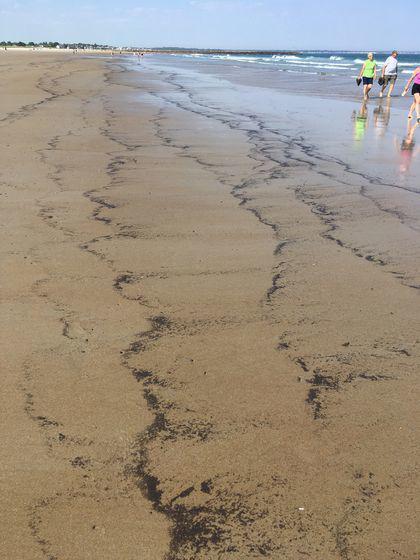 美国缅因州海滩出现黑色物质 图源：美媒