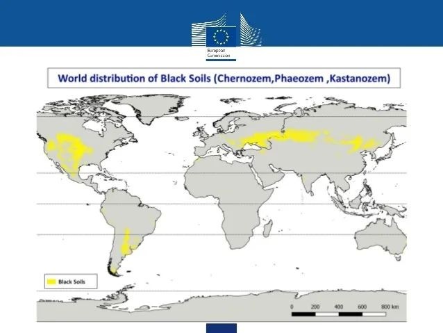 放眼來看,全世界主要有4大黑土地區域,除了我國東北,還有烏克蘭大平原