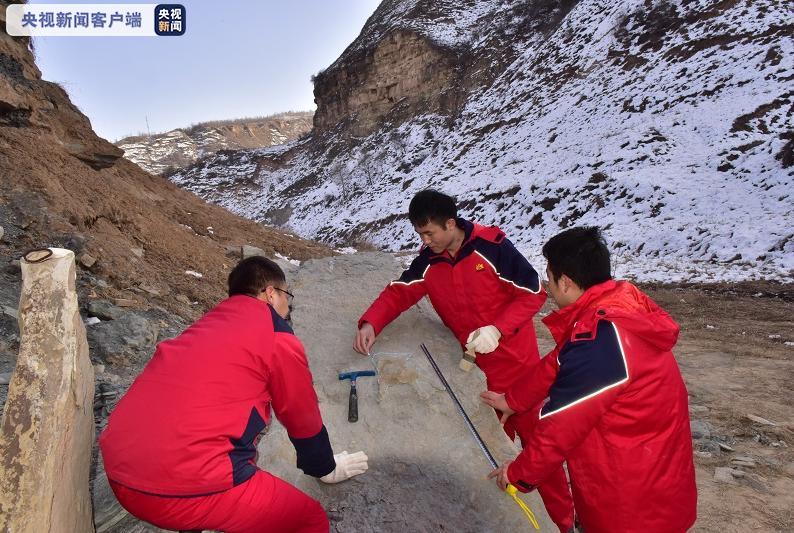 陕西发现中国最古老的龟类足迹和侏罗纪大型肉食龙足迹