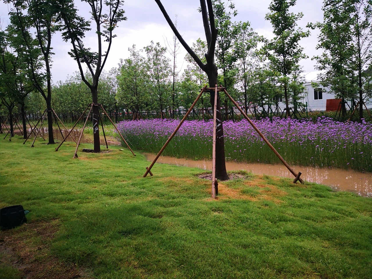 花博会遭遇梅雨怎么办 已做好应急预案 室外花卉及时更换 手机新浪网 花博会遭遇梅雨怎么办 已做好应急预案 室外花卉及时更换 手机新浪网