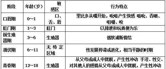 弗洛伊德人格发展阶段图片